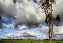 壹号娱乐官网：范德芬伤病梦魇后发声：坚信已走出困境，热刺剑指欧联冠军.