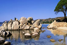 壹号娱乐官网:图多尔未上任先表白:弗拉霍维奇与布雷默是心头好 尤文未来可期.